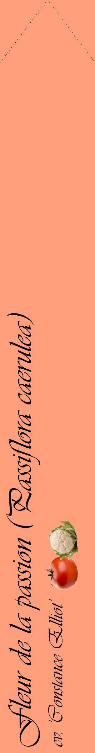 Étiquette de : Passiflora caerulea cv. 'Constance Elliot' - format c - style noire39_simpleviv avec comestibilité simplifiée