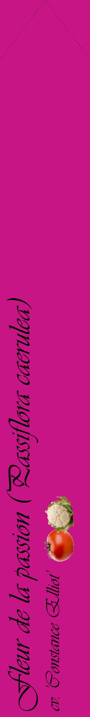 Étiquette de : Passiflora caerulea cv. 'Constance Elliot' - format c - style noire45_simpleviv avec comestibilité simplifiée