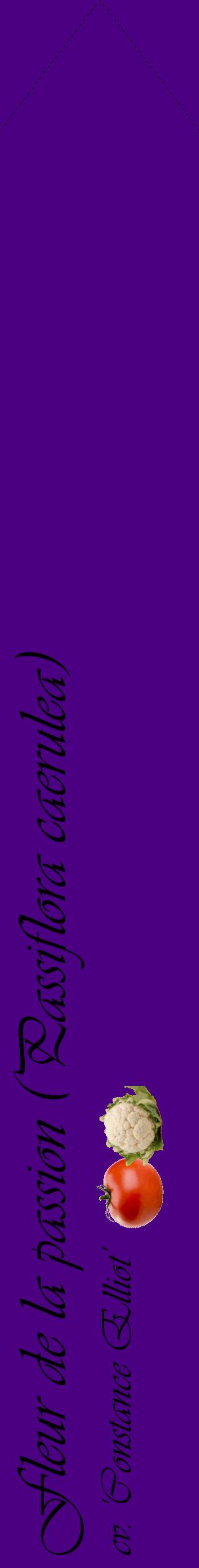 Étiquette de : Passiflora caerulea cv. 'Constance Elliot' - format c - style noire47_simpleviv avec comestibilité simplifiée