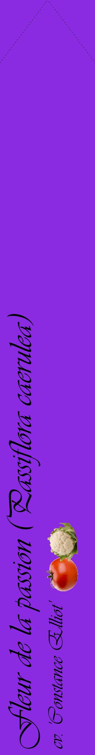 Étiquette de : Passiflora caerulea cv. 'Constance Elliot' - format c - style noire49_simpleviv avec comestibilité simplifiée