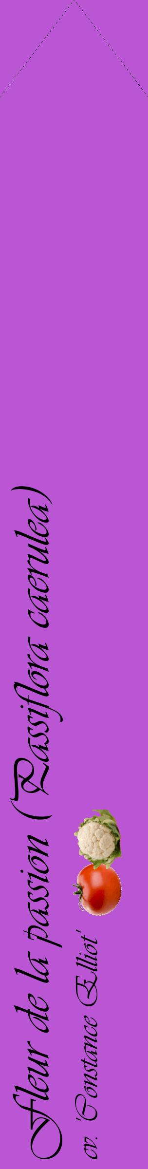 Étiquette de : Passiflora caerulea cv. 'Constance Elliot' - format c - style noire50_simpleviv avec comestibilité simplifiée