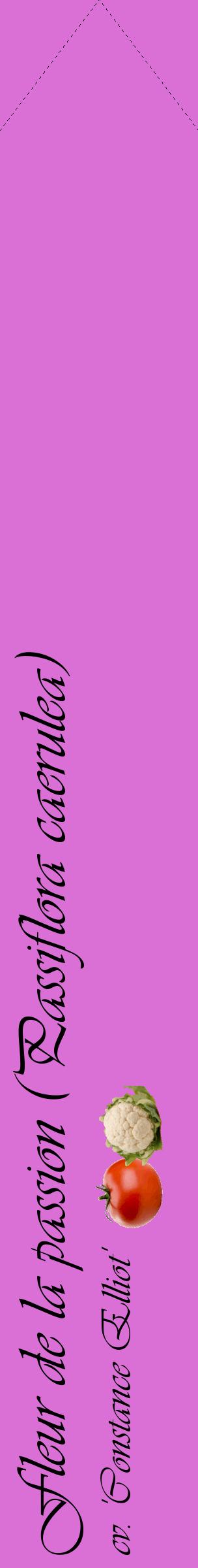 Étiquette de : Passiflora caerulea cv. 'Constance Elliot' - format c - style noire52_simpleviv avec comestibilité simplifiée