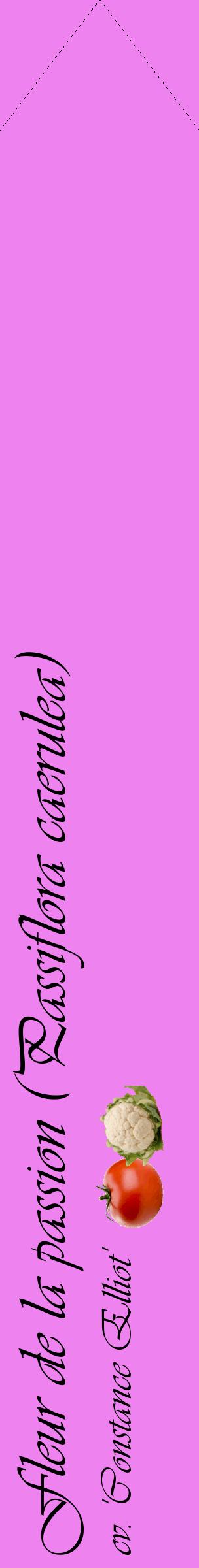 Étiquette de : Passiflora caerulea cv. 'Constance Elliot' - format c - style noire53_simpleviv avec comestibilité simplifiée