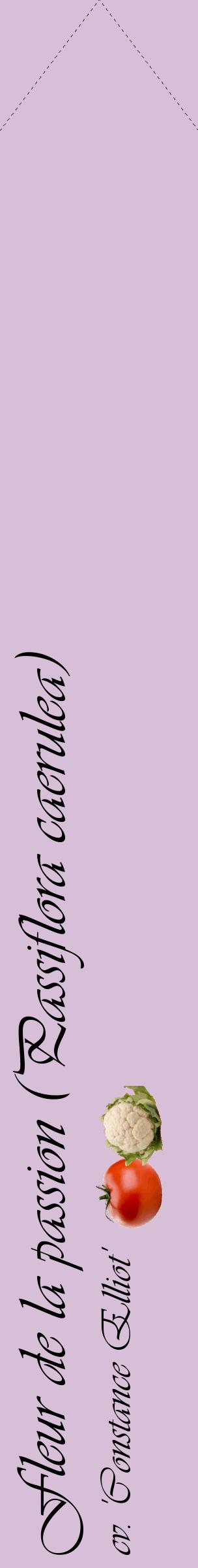 Étiquette de : Passiflora caerulea cv. 'Constance Elliot' - format c - style noire54_simpleviv avec comestibilité simplifiée