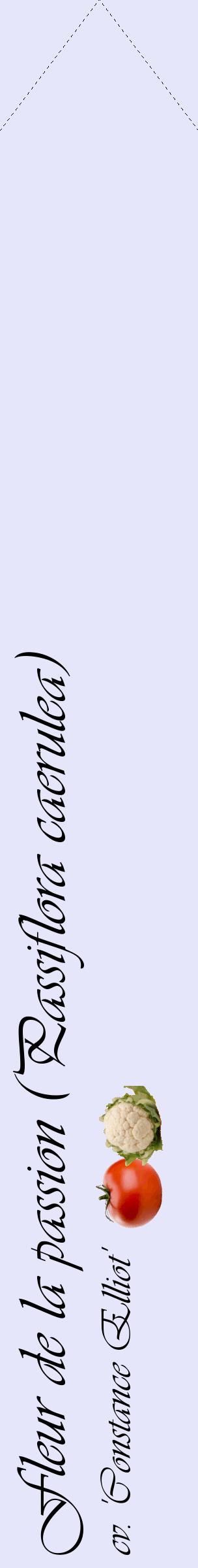 Étiquette de : Passiflora caerulea cv. 'Constance Elliot' - format c - style noire55_simpleviv avec comestibilité simplifiée