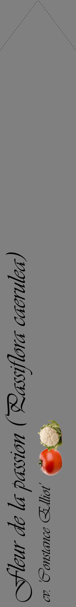 Étiquette de : Passiflora caerulea cv. 'Constance Elliot' - format c - style noire57_simpleviv avec comestibilité simplifiée
