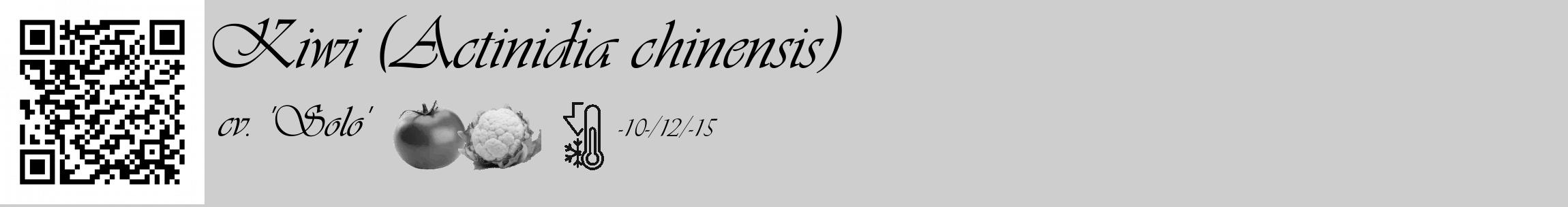 Étiquette de : Actinidia chinensis cv. 'Solo' - format c - style noire17_basique_basiqueviv avec qrcode et comestibilité simplifiée