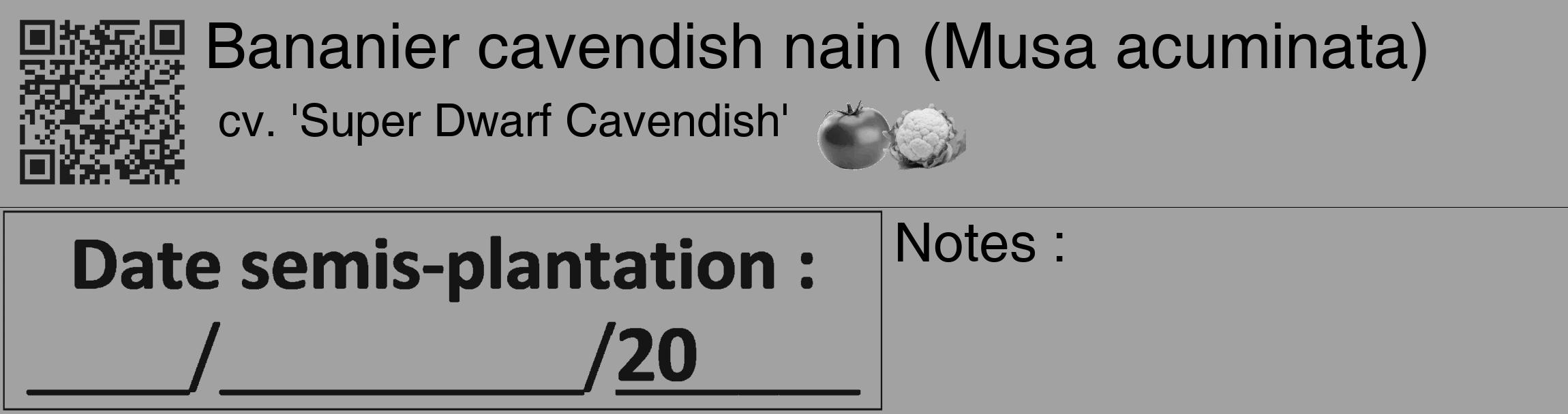 Étiquette de : Musa acuminata cv. 'Super Dwarf Cavendish' - format c - style noire38_basique_basiquehel avec qrcode et comestibilité simplifiée