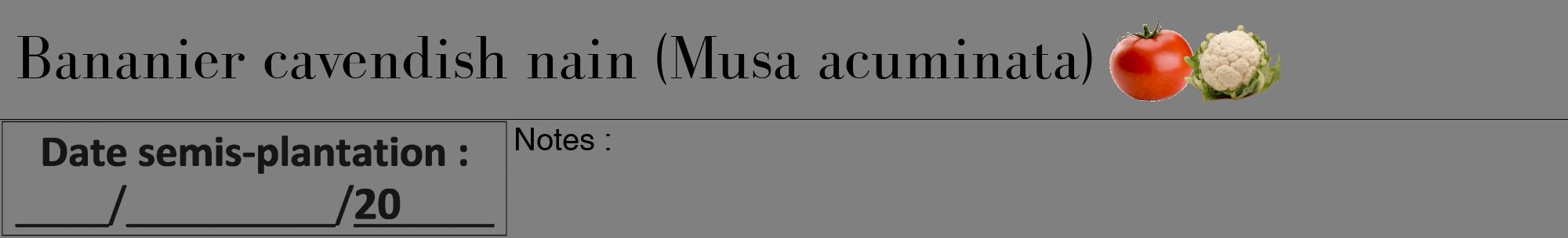 Étiquette de : Musa acuminata - format a - style noire57bod avec comestibilité simplifiée