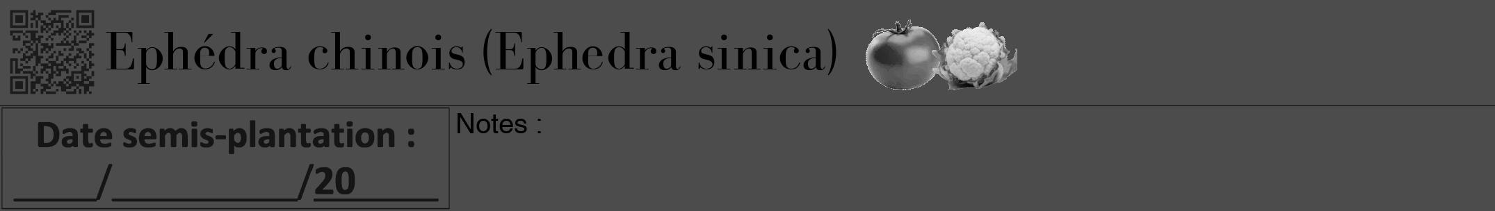 Étiquette de : Ephedra sinica - format a - style noire27bod avec qrcode et comestibilité simplifiée