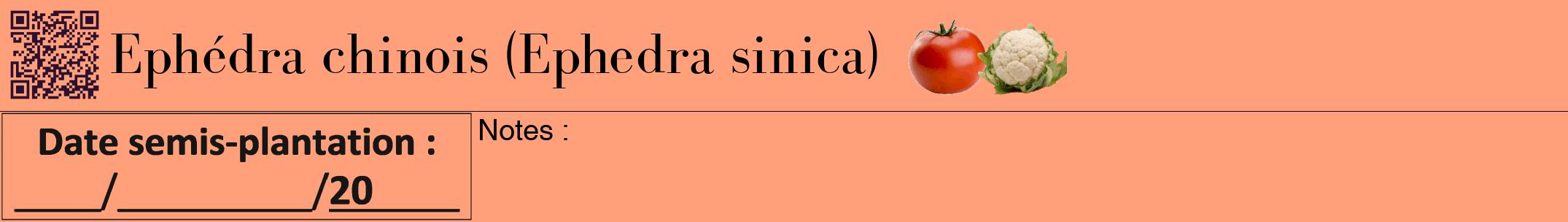 Étiquette de : Ephedra sinica - format a - style noire39bod avec qrcode et comestibilité simplifiée