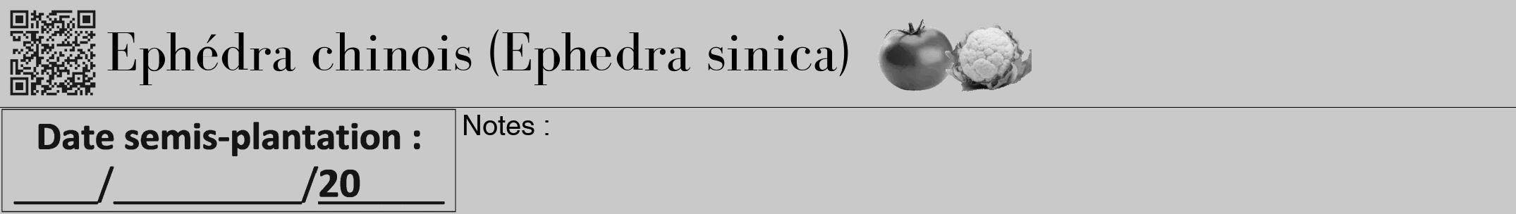 Étiquette de : Ephedra sinica - format a - style noire54bod avec qrcode et comestibilité simplifiée