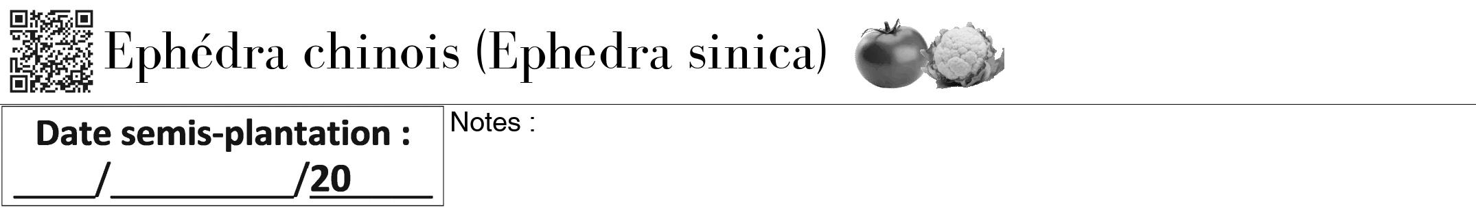 Étiquette de : Ephedra sinica - format a - style noire60bod avec qrcode et comestibilité simplifiée