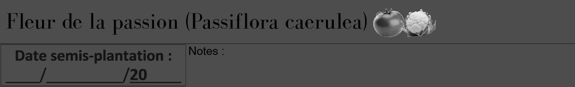 Étiquette de : Passiflora caerulea - format a - style noire28bod avec comestibilité simplifiée