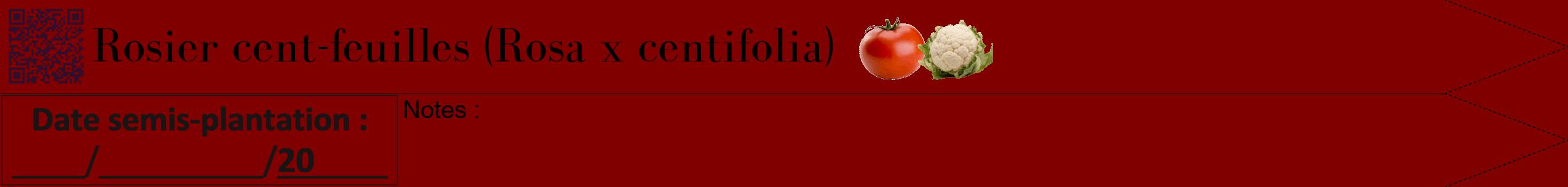 Étiquette de : Rosa x centifolia - format b - style noire29bod avec qrcode et comestibilité simplifiée