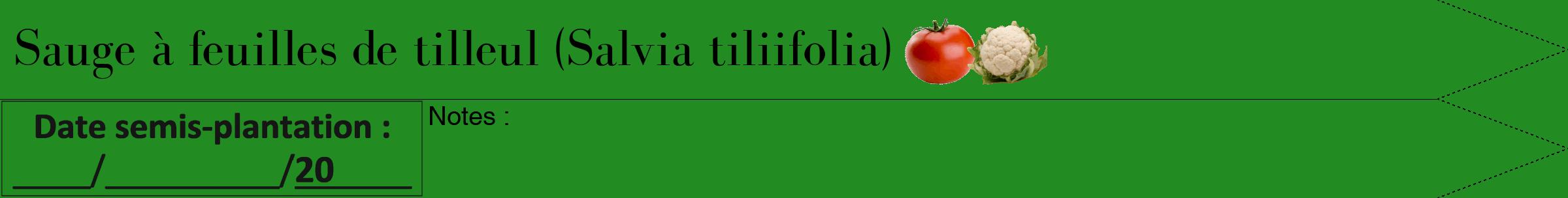 Étiquette de : Salvia tiliifolia - format b - style noire10bod avec comestibilité simplifiée