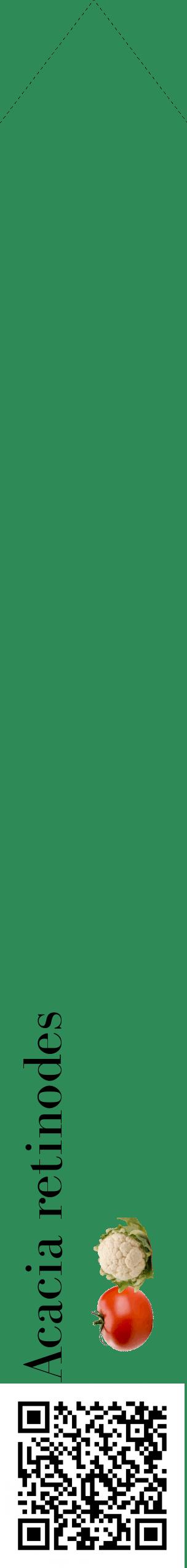 Étiquette de : Acacia retinodes - format c - style noire11_simplebod avec qrcode et comestibilité simplifiée