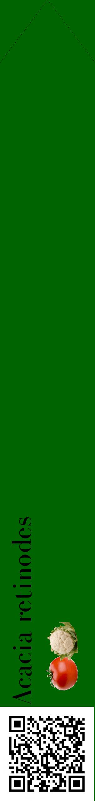 Étiquette de : Acacia retinodes - format c - style noire8_simplebod avec qrcode et comestibilité simplifiée