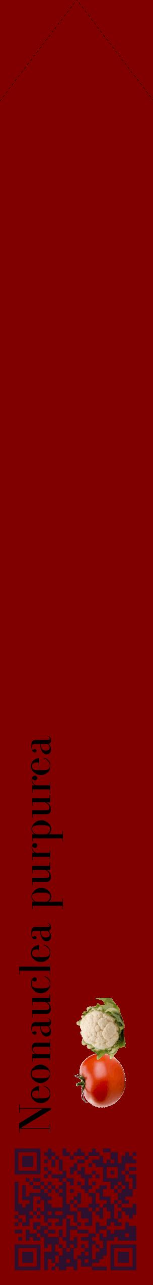 Étiquette de : Neonauclea purpurea - format c - style noire29_simplebod avec qrcode et comestibilité simplifiée