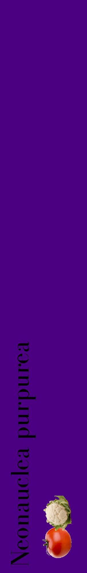 Étiquette de : Neonauclea purpurea - format c - style noire47_basiquebod avec comestibilité simplifiée
