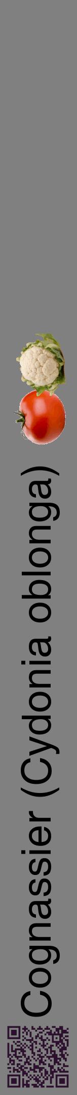 Étiquette de : Cydonia oblonga - format a - style noire57hel avec qrcode et comestibilité simplifiée