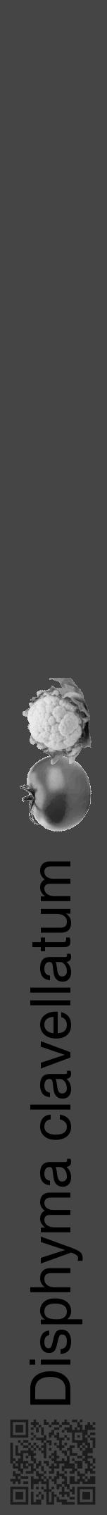 Étiquette de : Disphyma clavellatum - format a - style noire58hel avec qrcode et comestibilité simplifiée - position verticale