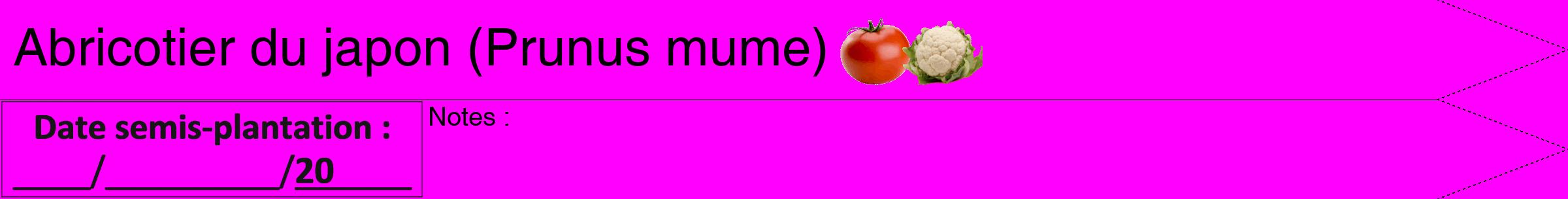 Étiquette de : Prunus mume - format b - style noire51simplehel avec comestibilité simplifiée