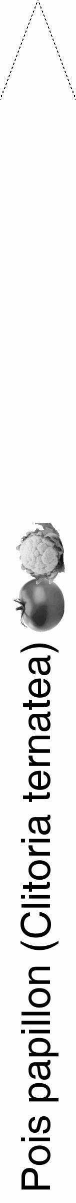 Étiquette de : Clitoria ternatea - format b - style noire19hel avec comestibilité simplifiée - position verticale