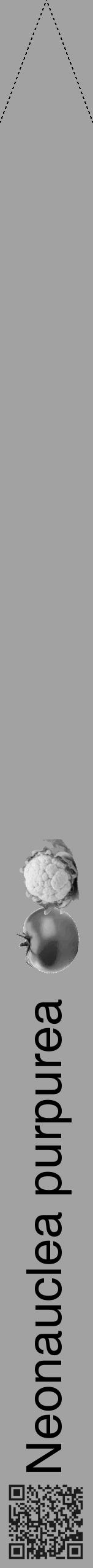 Étiquette de : Neonauclea purpurea - format b - style noire38hel avec qrcode et comestibilité simplifiée - position verticale
