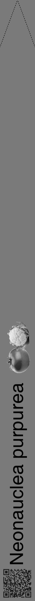 Étiquette de : Neonauclea purpurea - format b - style noire3hel avec qrcode et comestibilité simplifiée - position verticale