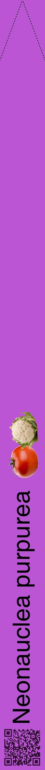 Étiquette de : Neonauclea purpurea - format b - style noire50hel avec qrcode et comestibilité simplifiée