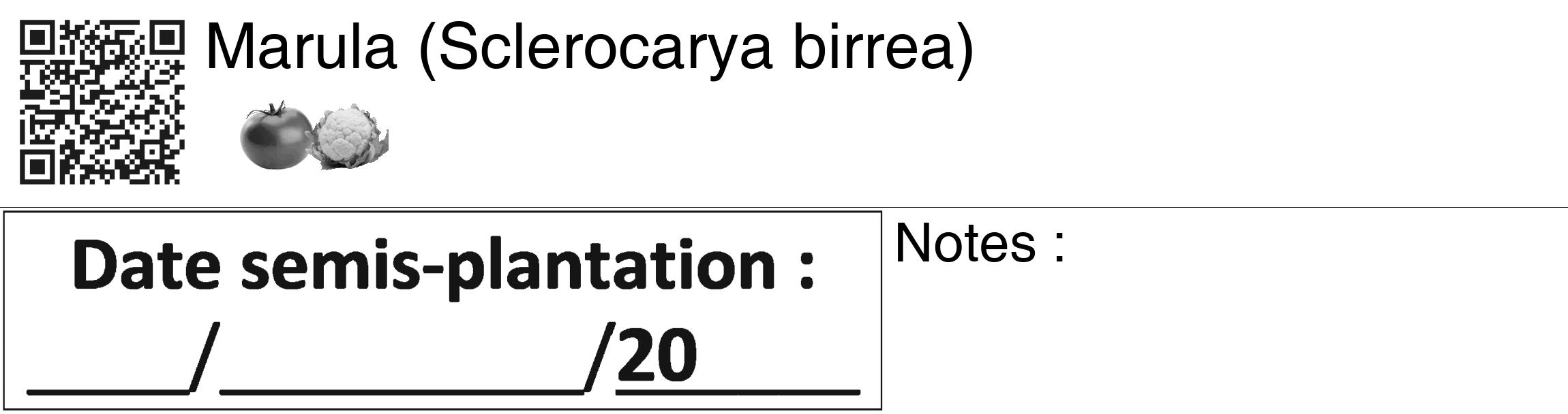 Étiquette de : Sclerocarya birrea - format c - style noire60_basiquegrrvhel avec qrcode et comestibilité simplifiée