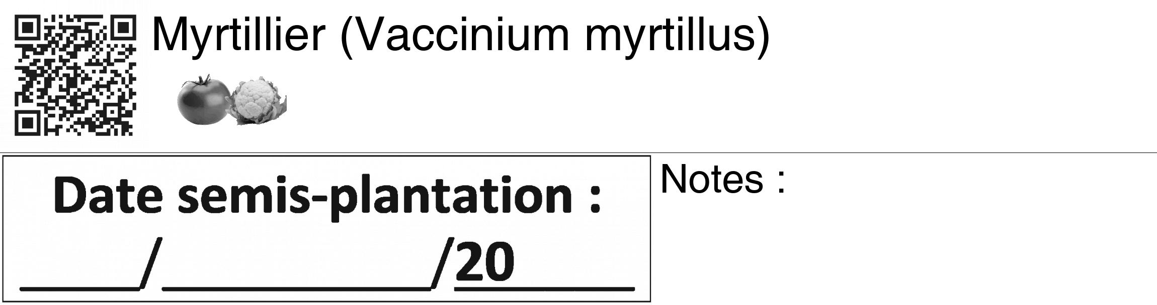 Étiquette de : Vaccinium myrtillus - format c - style noire60_basiquegrrvhel avec qrcode et comestibilité simplifiée