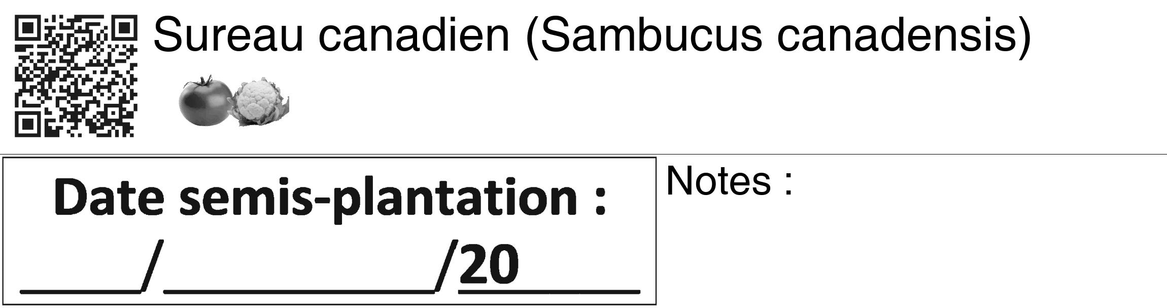 Étiquette de : Sambucus canadensis - format c - style noire60_basiquegrrvhel avec qrcode et comestibilité simplifiée