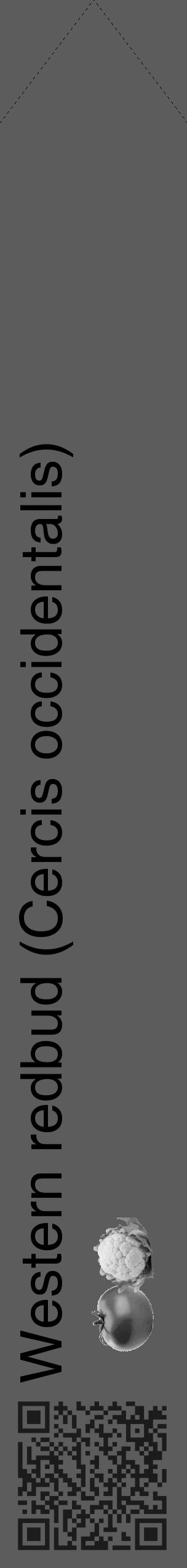 Étiquette de : Cercis occidentalis - format c - style noire49_simple_simplehel avec qrcode et comestibilité simplifiée - position verticale