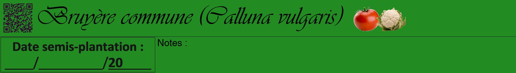 Étiquette de : Calluna vulgaris - format a - style noire10viv avec qrcode et comestibilité simplifiée