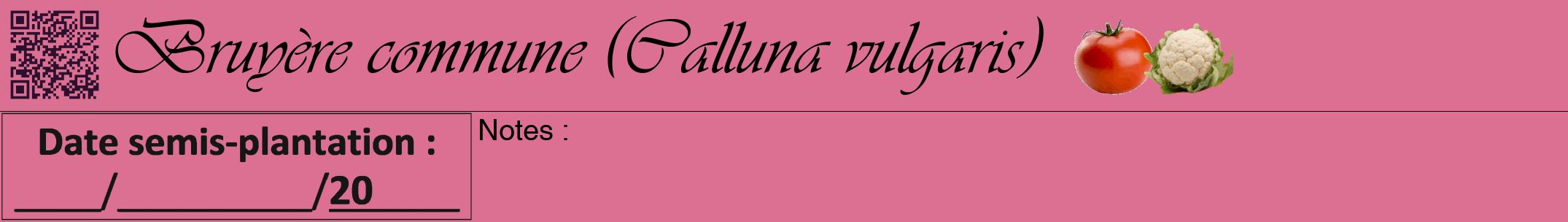 Étiquette de : Calluna vulgaris - format a - style noire44viv avec qrcode et comestibilité simplifiée
