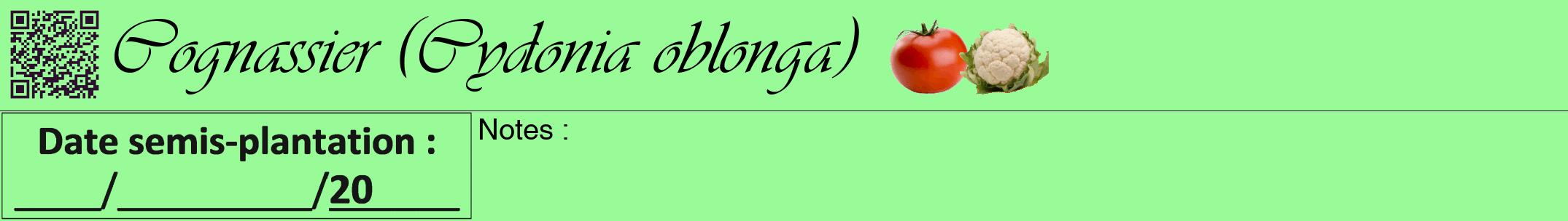 Étiquette de : Cydonia oblonga - format a - style noire14viv avec qrcode et comestibilité simplifiée