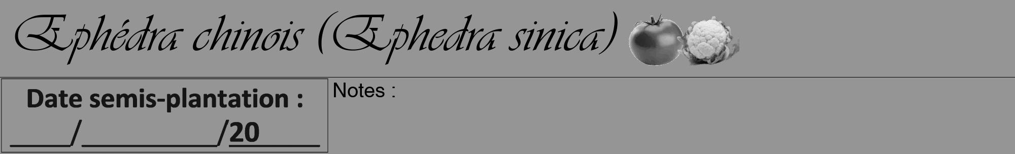 Étiquette de : Ephedra sinica - format a - style noire16viv avec comestibilité simplifiée