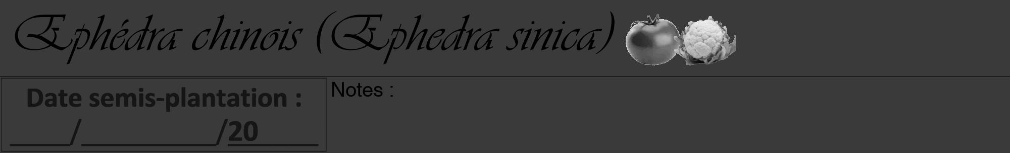 Étiquette de : Ephedra sinica - format a - style noire8viv avec comestibilité simplifiée