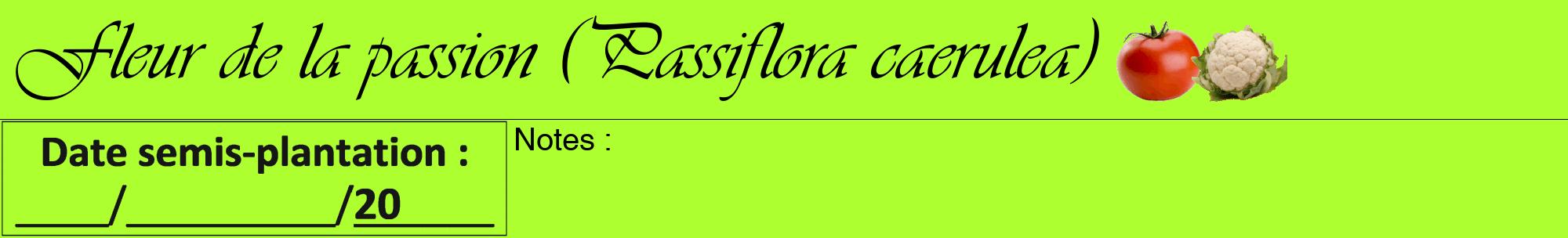 Étiquette de : Passiflora caerulea - format a - style noire17viv avec comestibilité simplifiée
