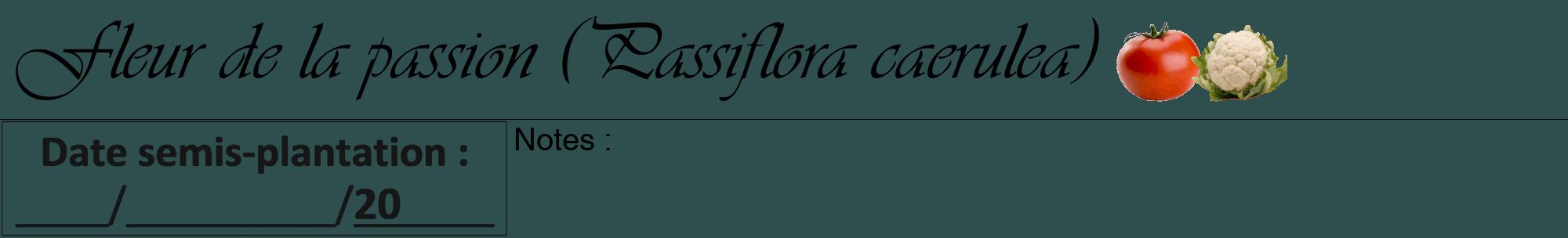 Étiquette de : Passiflora caerulea - format a - style noire58basiqueviv avec comestibilité simplifiée