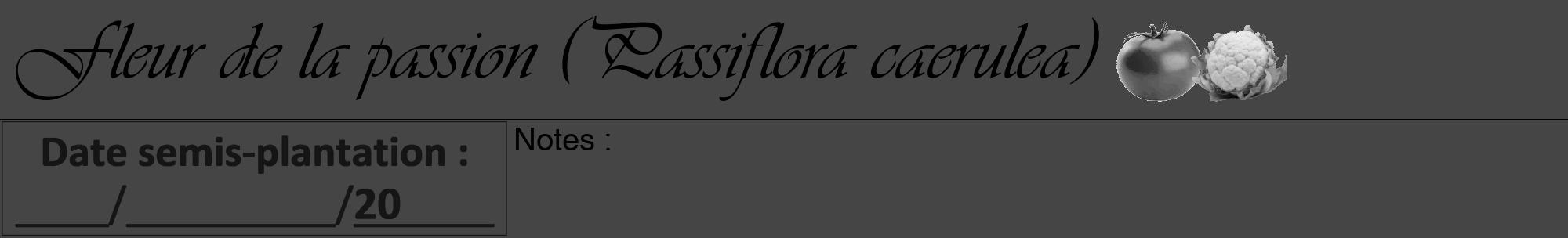 Étiquette de : Passiflora caerulea - format a - style noire58basiqueviv avec comestibilité simplifiée