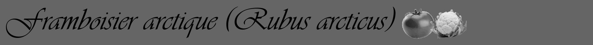Étiquette de : Rubus arcticus - format a - style noire32viv avec comestibilité simplifiée