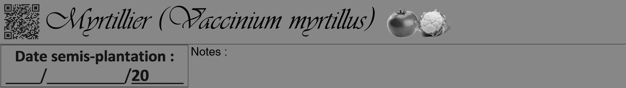 Étiquette de : Vaccinium myrtillus - format a - style noire12viv avec qrcode et comestibilité simplifiée