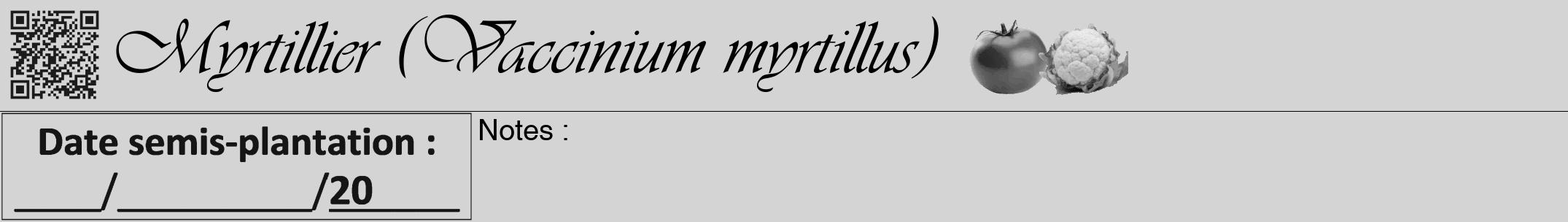 Étiquette de : Vaccinium myrtillus - format a - style noire40viv avec qrcode et comestibilité simplifiée