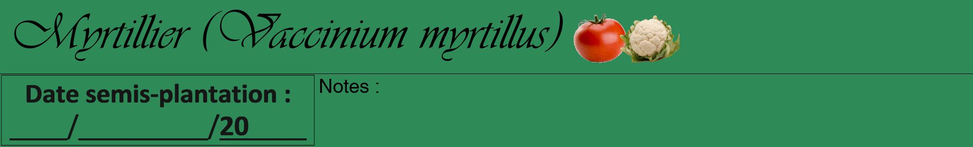 Étiquette de : Vaccinium myrtillus - format a - style noire11viv avec comestibilité simplifiée