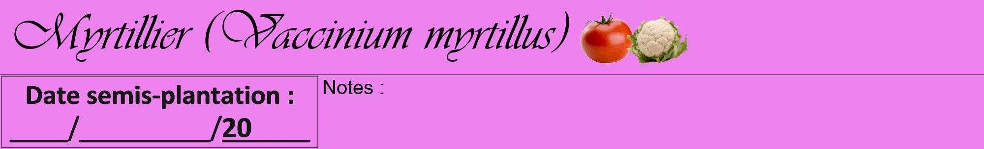 Étiquette de : Vaccinium myrtillus - format a - style noire53viv avec comestibilité simplifiée