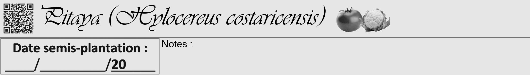 Étiquette de : Hylocereus costaricensis - format a - style noire18viv avec qrcode et comestibilité simplifiée