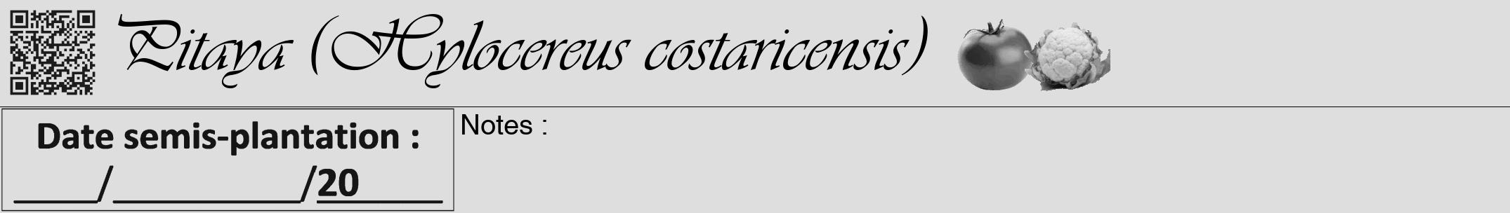 Étiquette de : Hylocereus costaricensis - format a - style noire20viv avec qrcode et comestibilité simplifiée